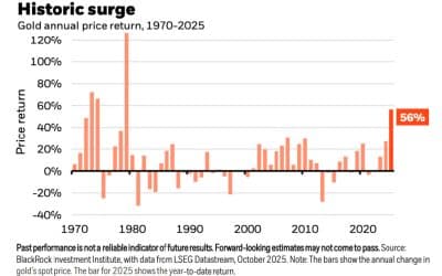 MARKET UPDATE – NOVEMBER 2025